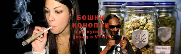 молекула духа Аркадак