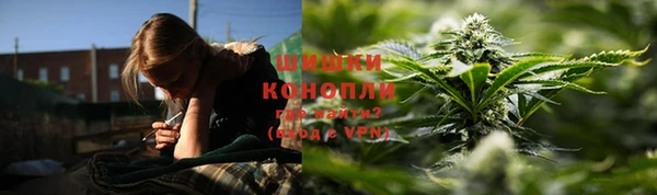 молекула духа Аркадак
