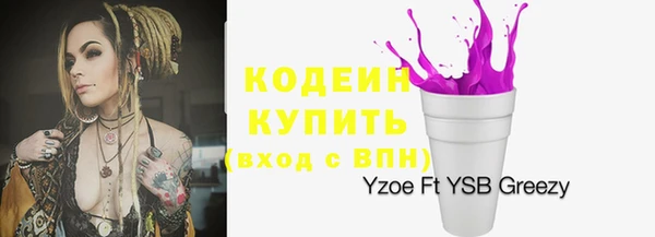 крисы Армянск