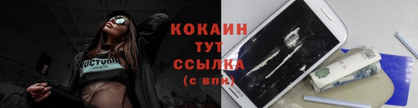 крисы Армянск
