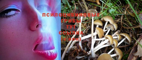 молекула духа Аркадак