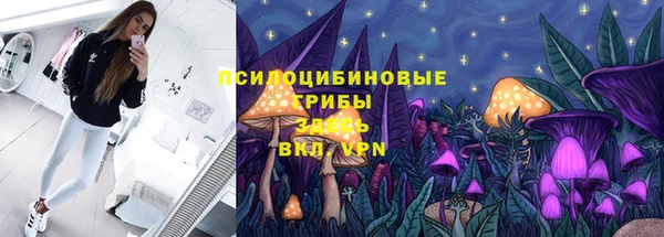 молекула духа Аркадак
